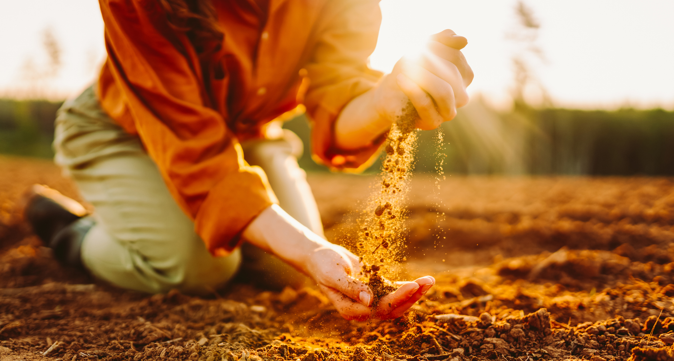 Replaceable fertilizer product image placeholder